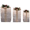 Northlight Set of 3 Silver Mesh Glittered Gift Boxes Outdoor Decorations - 4 of 4