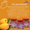 3-in-1 Mango Chutney (Hot, Sweet, Major Grey) - 12.3oz (350g) - Rani Brand Authentic Indian Products - 4 of 4