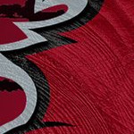 tampa bay buccaneers