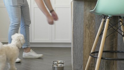 33 Quart Clear and Black Airtight Pet Food Storage Bins with Casters, Set of 2