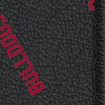 georgia bulldogs uga