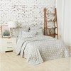 carol & frank 20" x 26" Liam Sky Cotton Standard Sham - Machine Washable - 2 of 4
