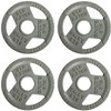 Gulches 4 Inch Olympic Cast Iron Weight Plates for Strength Training and Weightlifting, Multiple Weights four pieces - 2 of 4