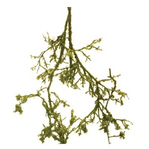 Mossy Twig Branch Vine (Set of 6) - 1 of 2