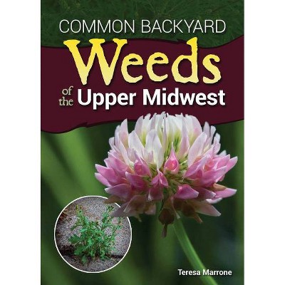 Common Backyard Weeds of the Upper Midwest - by  Teresa Marrone (Paperback)