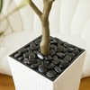 DR.Planzen 72" Artificial Olive Tree - 6FT UV Resistant Fake Plant with 15.7" Tall Planter Planter for Indoor House Plants & Tall Floor Decor - 4 of 4