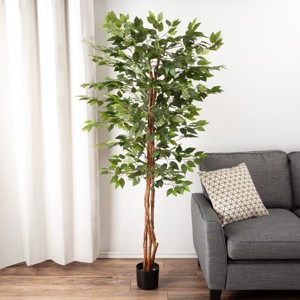 Nature Spring Ficus Artificial Tree - 80-Inch Potted Faux Silk Tree with Natural Looking Leaves for Office or Home Decor - Realistic Indoor Plants - 1 of 4