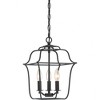 Quoizel Lighting Gallery 3 - Light Chandelier in  Royal Ebony - 4 of 4