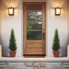 3-5FT Artificial Cedar Topiary Trees for Indoor and Outdoor UV Protection Fake Trees for Home Decor Set of 2 - 4 of 4