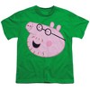 Boys' Short Sleeve Peppa Pig Daddy Pig Face T-Shirt - 2 of 4