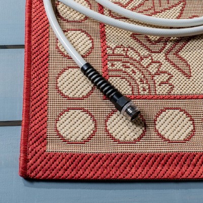 Natural and Red Synthetic Indoor/Outdoor Area Rug