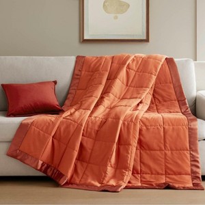 Sapphtopaz Lightweight Down Alternative Blanket with Satin Trim, Suitable for All Seasons Blankets for Bed, Bedding for Home - 1 of 4