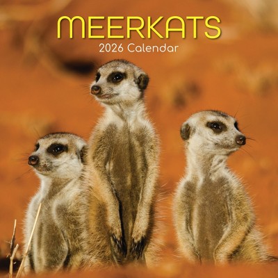 2026 Square Wall Calendar, Meerkats, 16-Month Animals Theme with 180 Reminder Stickers (12x12 In)