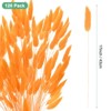 Unique Bargains Artificial Dried Flowers Realistic Look Pampas Bunny Tails Grass 17 Inch - 3 of 4
