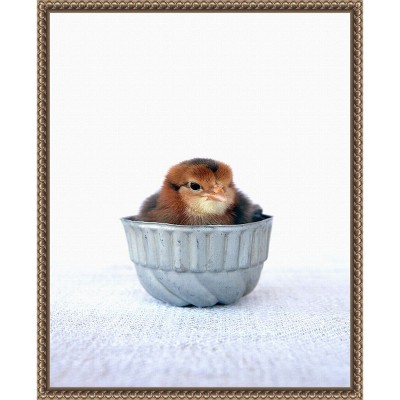 Amanti Art Tiny Baker II by Tania Soderman Framed Canvas Wall Art