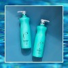 Malibu C SWIMMERS WELLNESS Shampoo & Conditioner (33.8 oz / 1 L) Duo Set, Restoring Hair Care Set for Swimmers - Protects Against Chlorine Damage Kit - 2 of 4