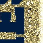 michigan wolverines