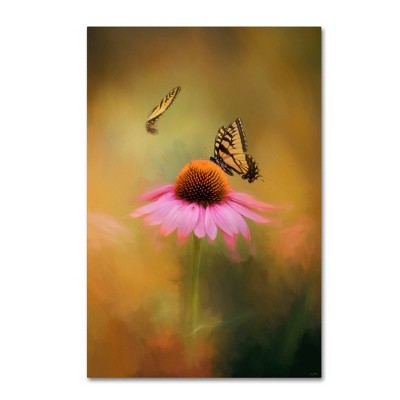 12" x 19" Butterflies At Play by Jai Johnson - Trademark Fine Art