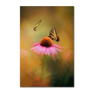 12" x 19" Butterflies At Play by Jai Johnson - Trademark Fine Art: Gallery-Wrapped Canvas, Giclee Print - 1 of 4