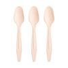 Smarty Had A Party Natural Birch Eco Friendly Dinner Spoons - 600 pcs - 2 of 4