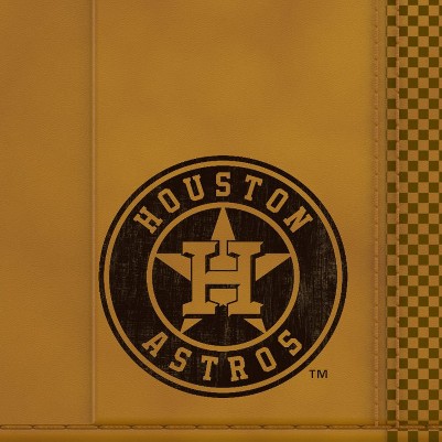 houston astros