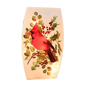 Stony Creek 8.0 Inch Cardinal Christmas Pre-Lit Med Glass Vase Christmas Lighted Glass Accent , Christmas Decor Cardinal Vase Novelty Lighting (1PC) - 1 of 4