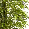 HomeStock  7 ft. Artificial Bamboo Tree in Pot for Indoor/Outdoor - 2 of 4