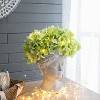 Gulches Greek Style Cement Head Planter - Indoor Outdoor Home Garden Decor, D6" x 9" - 2 of 4