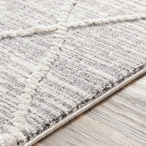 Hauteloom Norvelt High/Low Pile Rug with Tassels - 1 of 4