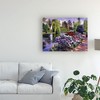 Trademark Fine Art -David Lloyd Glover 'Promise Of Spring Garden Path' Canvas Art - 3 of 4