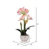 Vickerman 23" Artificial White Phalaenopsis In Pot. - 4 of 4