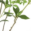 NicBex Artificial Tree Faux Plants 5FT Artificial Pieris Tree Indoor with Wood Trunk, Room Decor for Home, Porch - 2 of 4