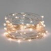 Perfect Holiday 40 LED Silver Copper Fairy Lights with Timer White - 3 of 3