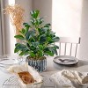 Aoibox Fake Plants Artificial Potted Plants Indoor with Black and White Striped Pots for Home Bathroom Bedroom Kitchen Decor - 2 of 4