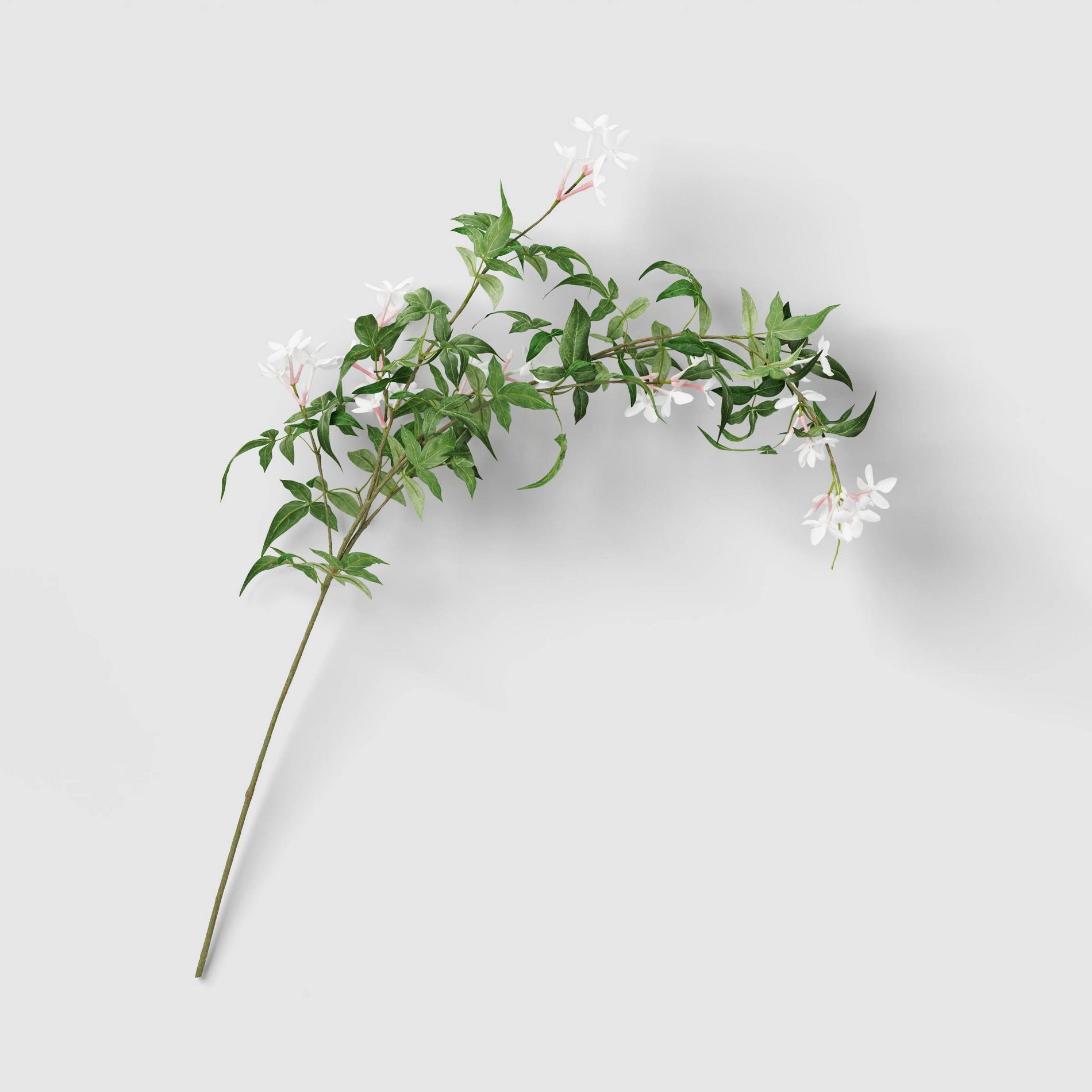 Jasmine Branch - Threshold™