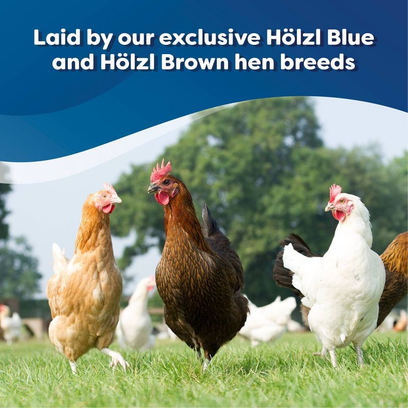 Happy Egg Co. Free Range Heritage Breed Brown and Blue Eggs - 28oz/12ct, 4 of 8