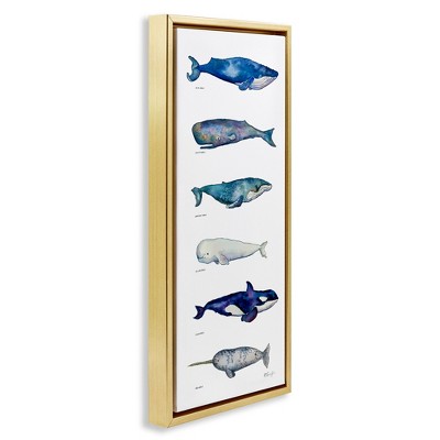 Maritime Sea Life Chart Canvas Print with Gold Frame, 11" x 25"