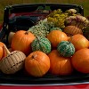 Patterned Woven Pumpkin Green - Threshold™ - 4 of 4