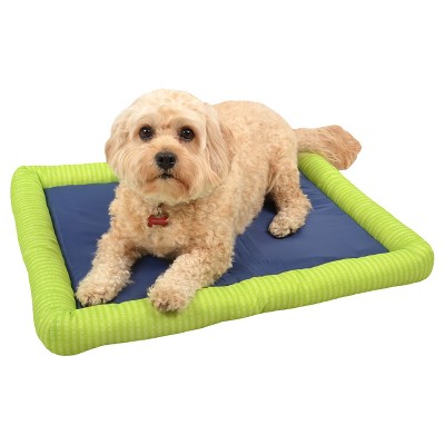 Target dog cooling outlet mat