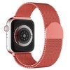 Waloo Magnetic Mesh Band For Apple Watch Series 10/9/8/7/6/5/4/3/2/1/SE/Ultra - 2 of 2