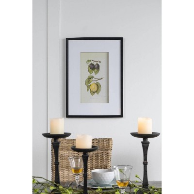 Set of 2 Black Framed Botanical Fruit Wall Art