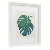 Trademark Fine Art - Pictufy Studio Ii Monstera Aqua 06 Matted Framed Art - 3 of 4
