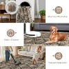 coucheta Multi-size Vintage Washable Area Rugs for Living Room, Boho Durable Soft Low Pile Non-Slip Accent Carpet, for Bedroom, Dining Room, Office - 4 of 4