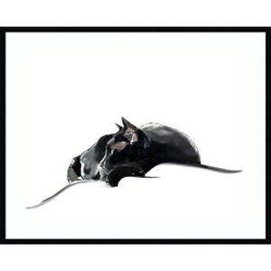 Amanti Art Asher III by Emily Kalina Wood Framed Wall Art Print - 1 of 4