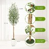 5/6/7 FT Artificial Olive Tree, Realistic Natural Wood Trunk, Plant with White Flower Pot and Green Fake Moss Outdoor Tree for Home Porch Decoration - 3 of 4