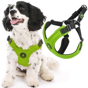 Gooby Escape Free Sport Harness Lime, Medium - 1 of 1