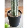Cesicia 8x5x24.5"H Artificial Saguaro Cactus in Black Pot - 4 of 4