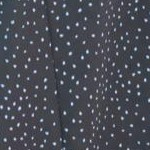 tropical garden border