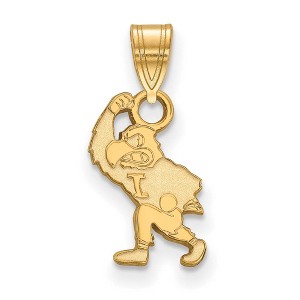 Black Bow Jewelry 10k Yellow Gold Iowa Hawkeyes NCAA Small Pendant - 1 of 3