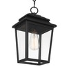 John Timberland Bellis Verde 14" High Traditional Outdoor Pendant Light Fixture Ceiling Porch House Hanging Textured Black Metal Clear Glass Shade - 3 of 4